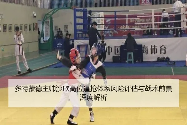多特蒙德主帅沙欣高位逼抢体系风险评估与战术前景深度解析