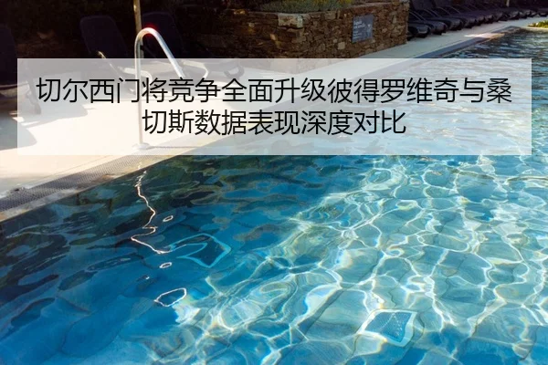 切尔西门将竞争全面升级彼得罗维奇与桑切斯数据表现深度对比